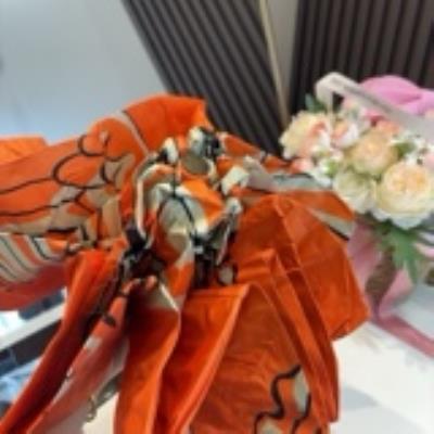 wholesale quality hermes umbrella model no. 2